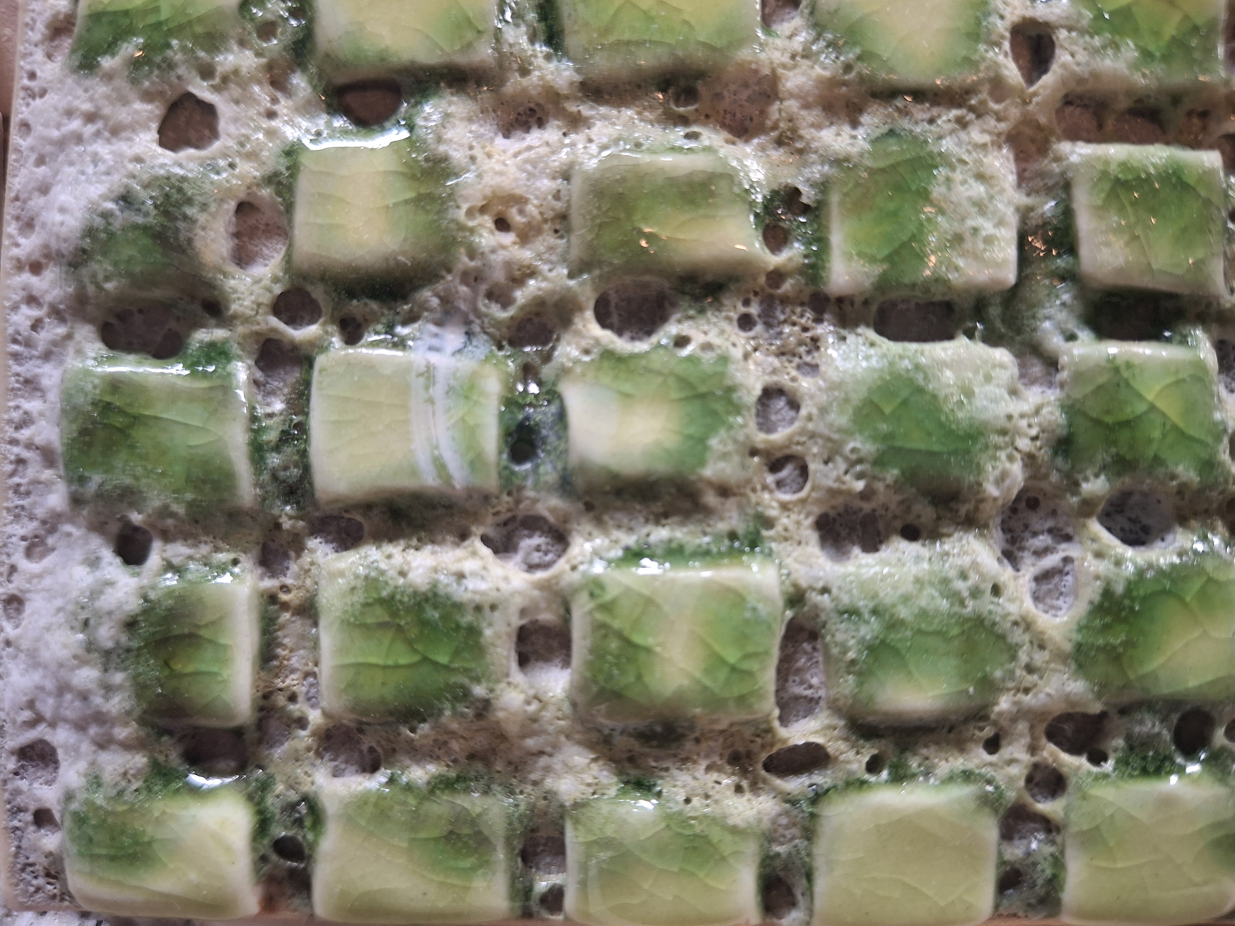 Mieux comprendre pour mieux former : renforcer des pratiques de résilience en intervention sociale à l’aube des changements climatiques. Lancement du cadre du référence 